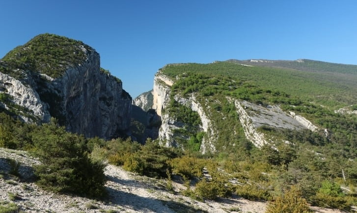 buis verdon