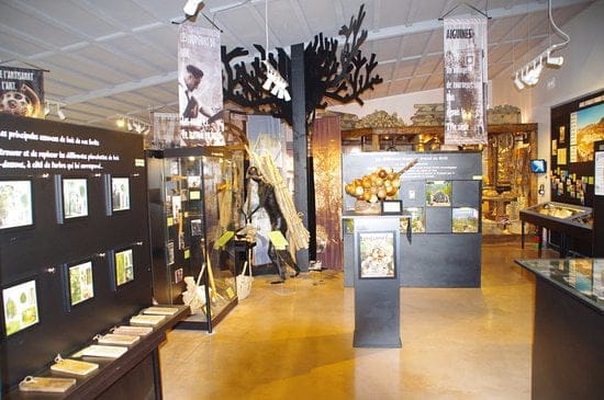 musee tourneur bois