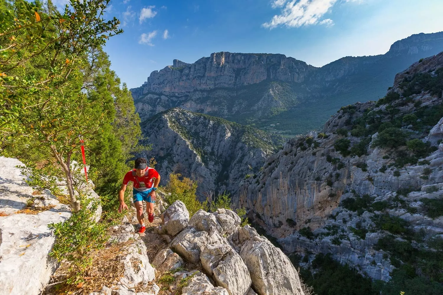 trail dans les gorges du verdon trail dans les gorges du verdon