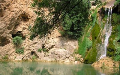 Visiter les Gorges du Verdon en été : programme idéal pour fortes chaleurs