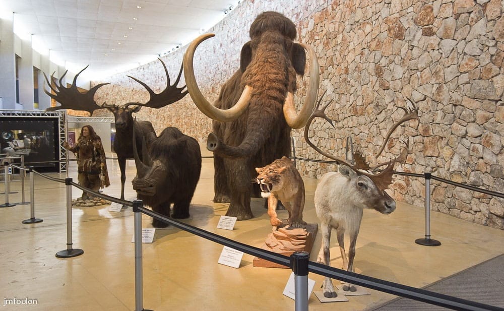musee prehistoire verdon