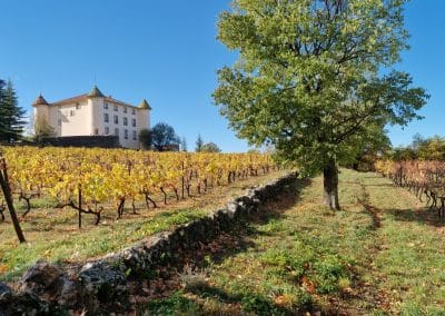 village aiguines son chateau et ses vignes