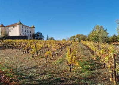 vigne du chateau d aiguines