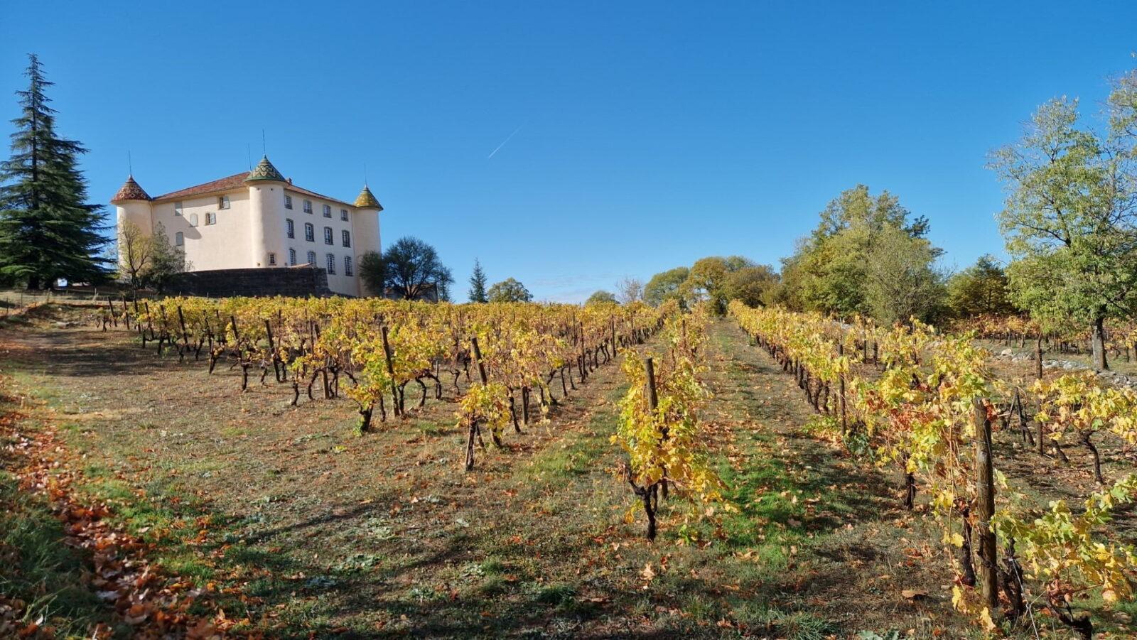 Vignoble du chateau d aiguines Vignoble du chateau d aiguines