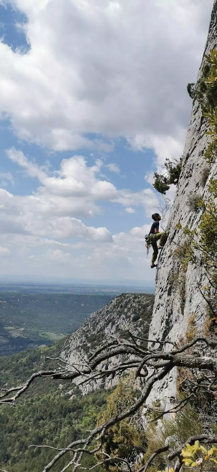 nature sauvage gorges du verdon