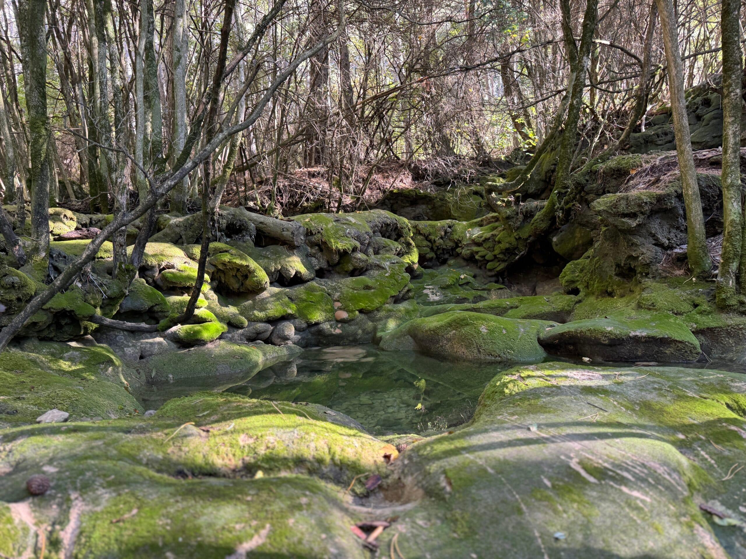source saint maurin