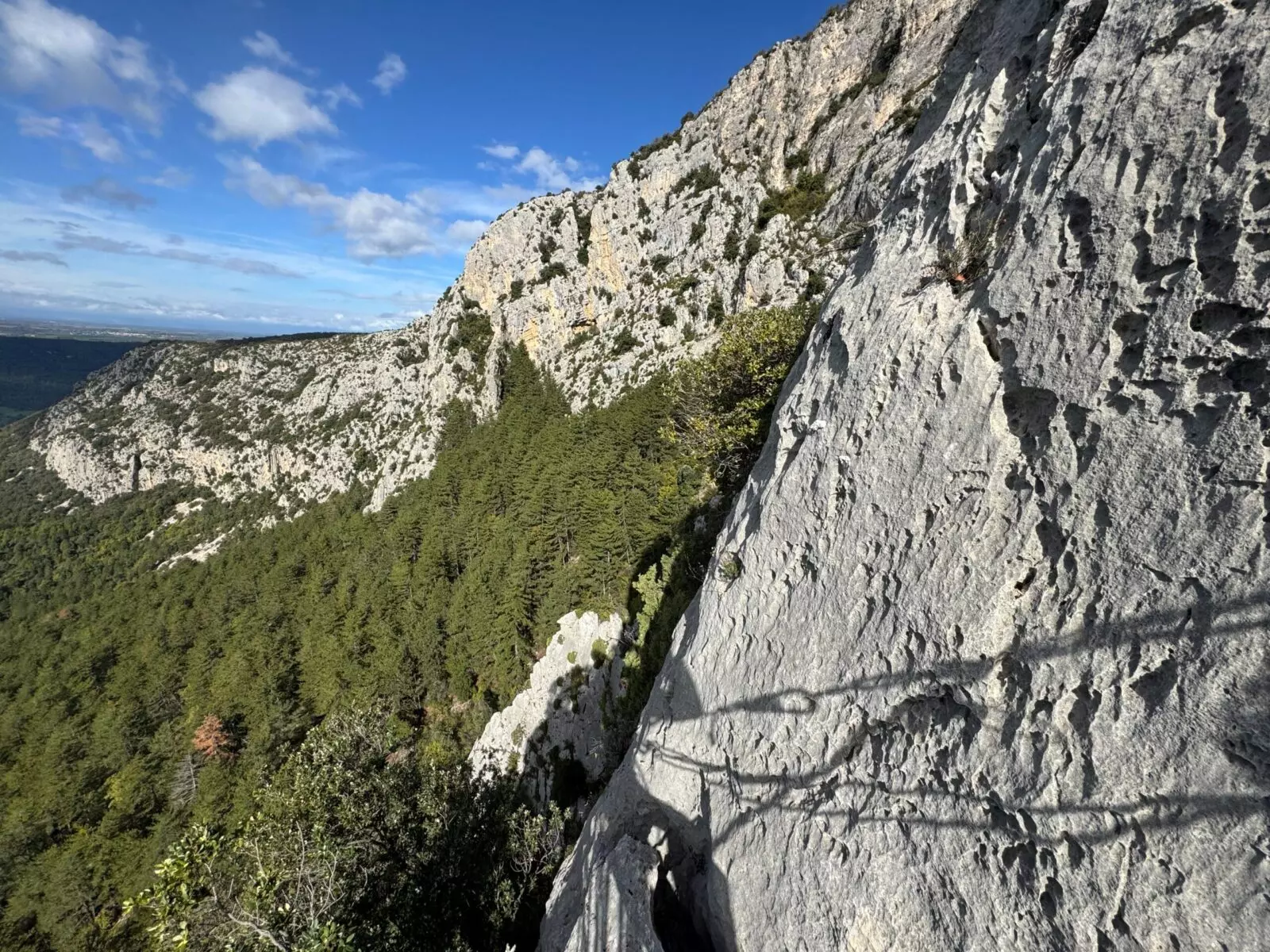 arete patte chevre Feline - environ arete patte chevre Feline - environ