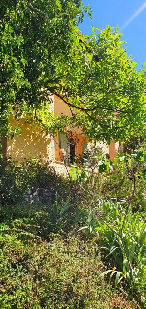villa OVerdon jardin – vue arbre