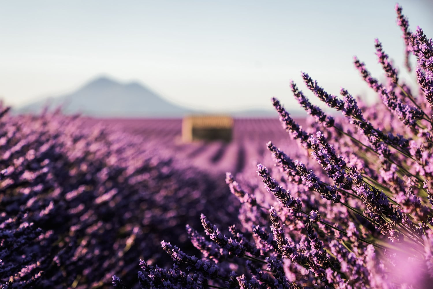 Valensole — Gorges du Verdon