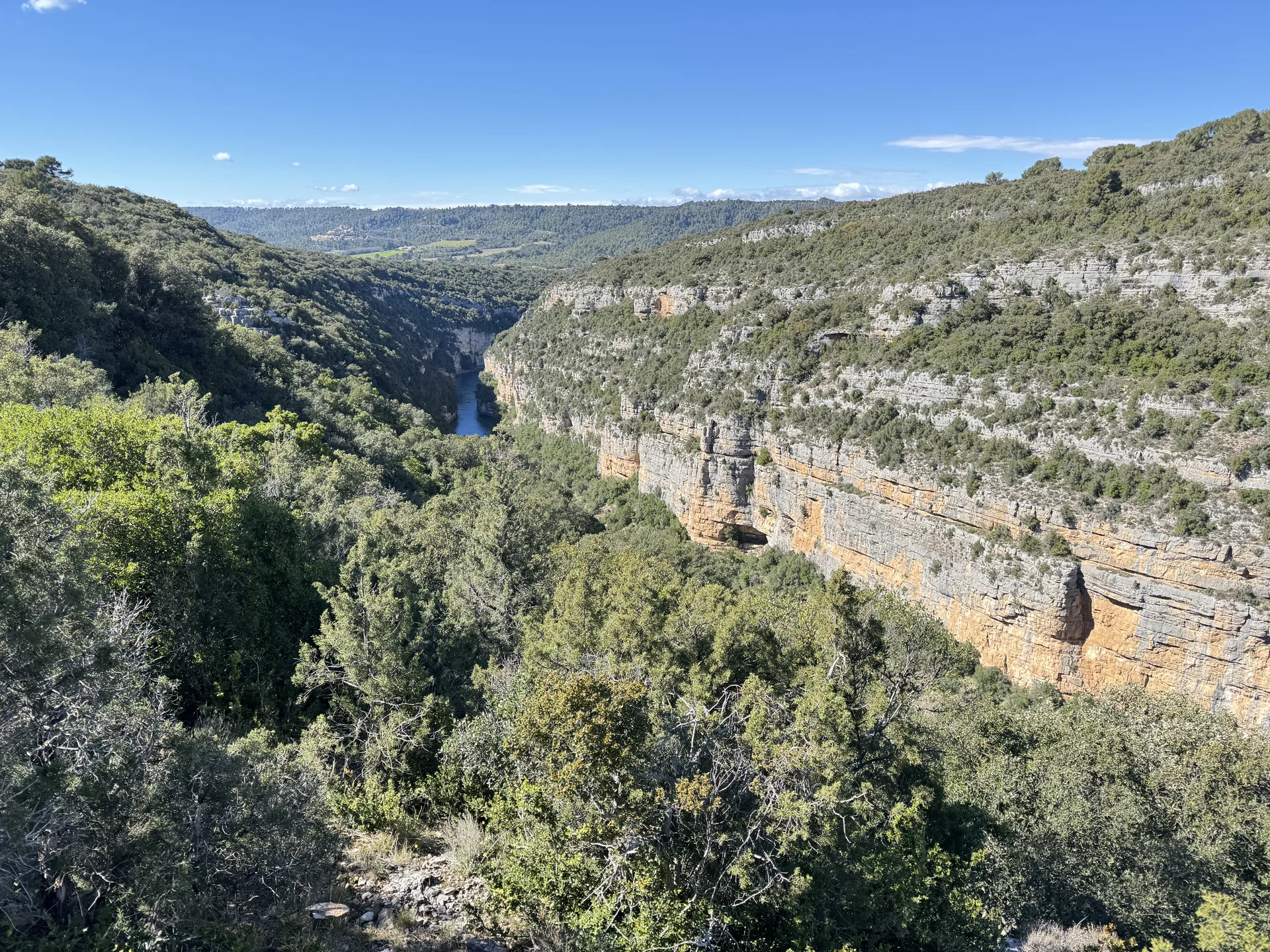 Panorama des Gorges de Baudinard avec falaises calcaires striées et Verdon émeraude en contrebas Panorama des Gorges de Baudinard avec falaises calcaires striées et Verdon émeraude en contrebas