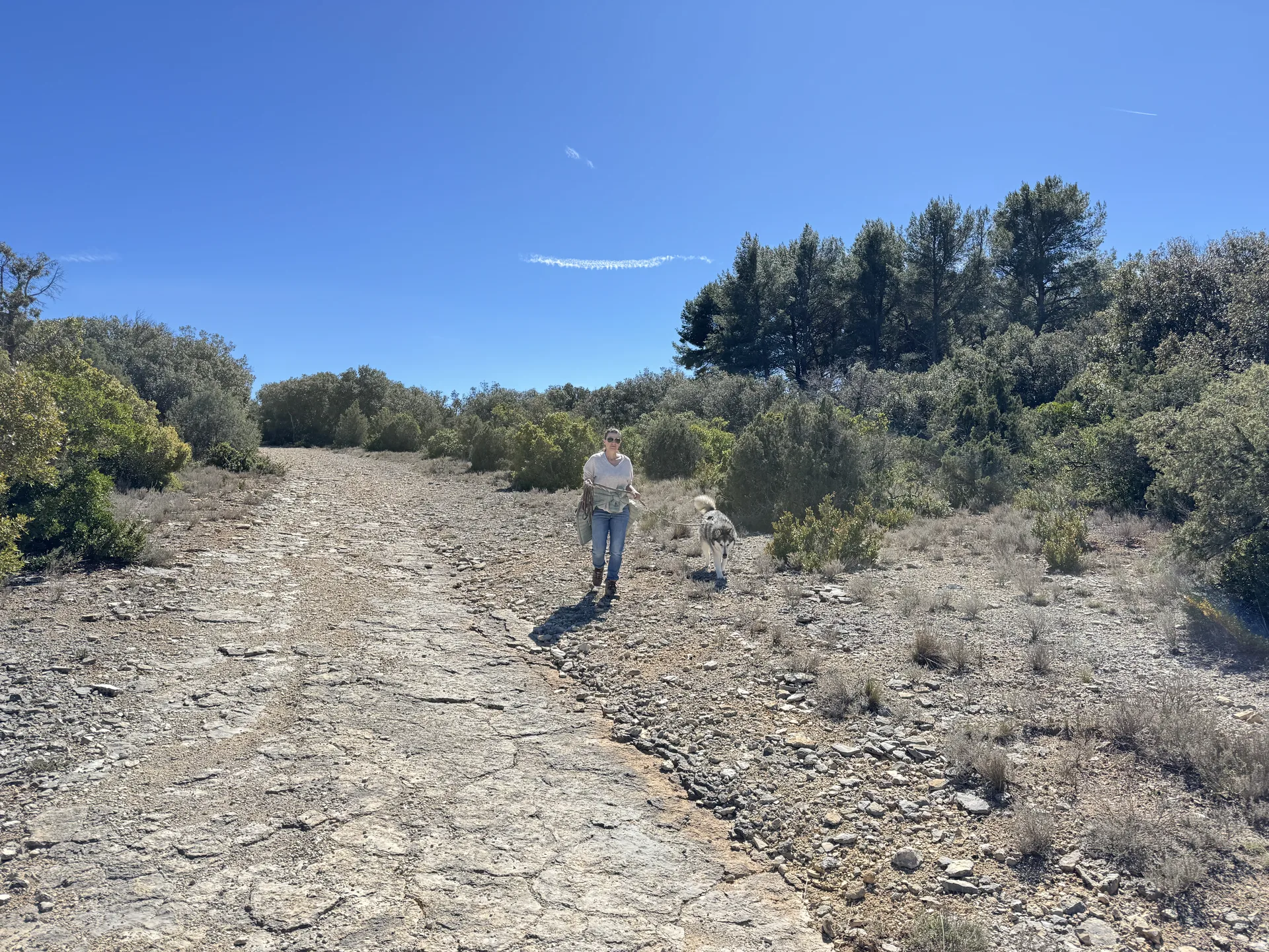 Départ de la randonnée des Gorges de Baudinard sur un sentier de garrigue provençale sous le soleil Départ de la randonnée des Gorges de Baudinard sur un sentier de garrigue provençale sous le soleil