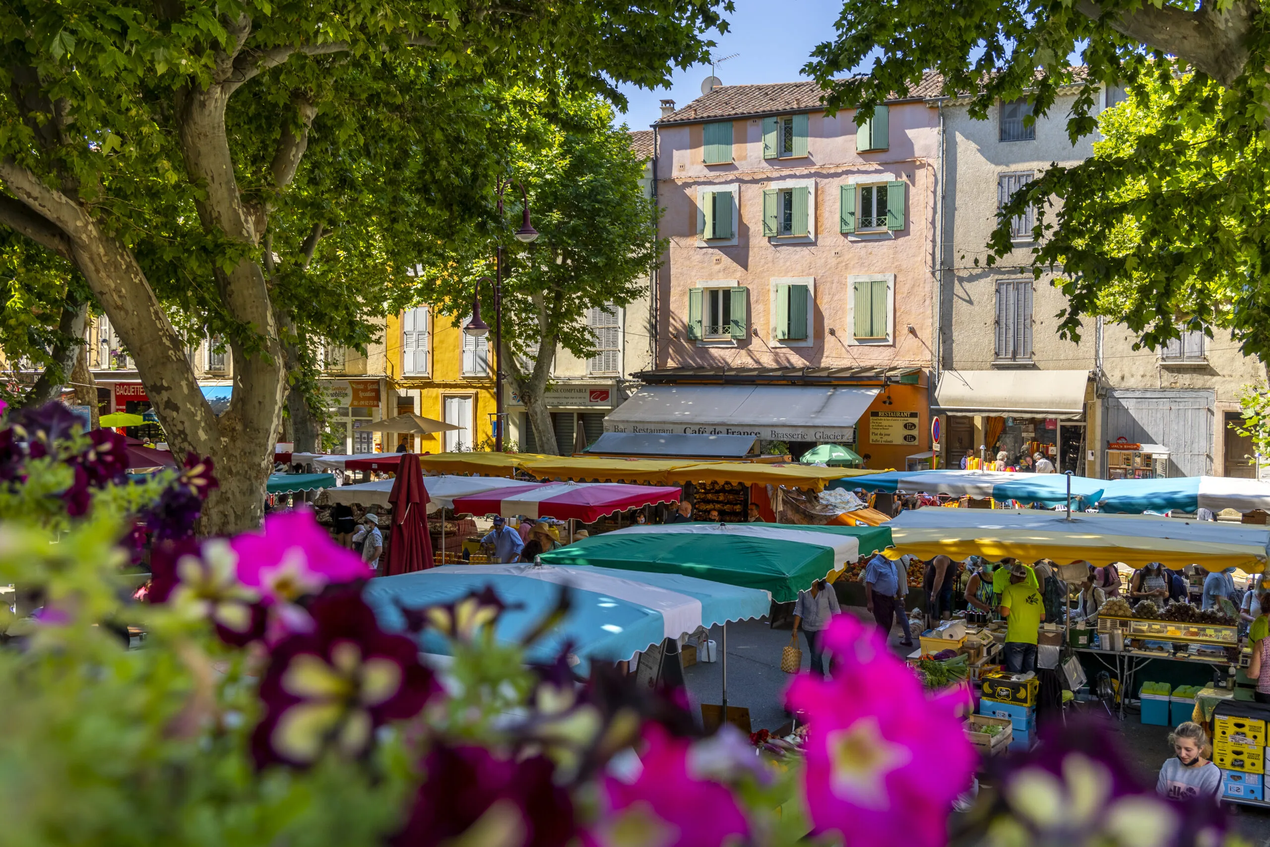 Provençal market of Riez at the foot of the Valensole plateau