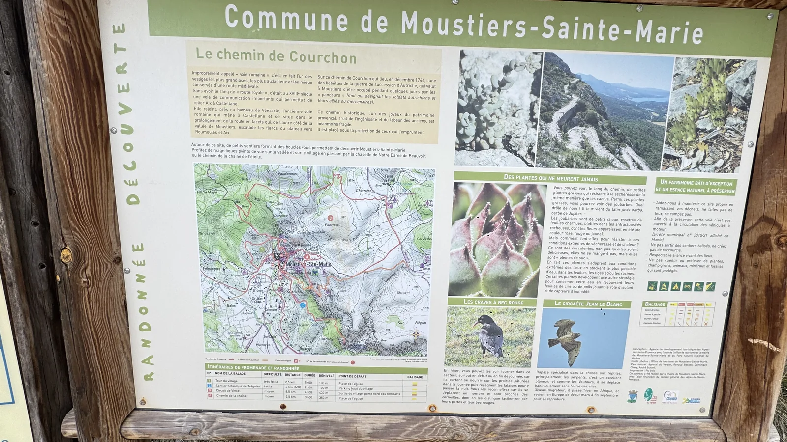 Panneau Randonnée Découverte Le Chemin de Courchon avec carte orchidées et oiseaux menacés Moustiers