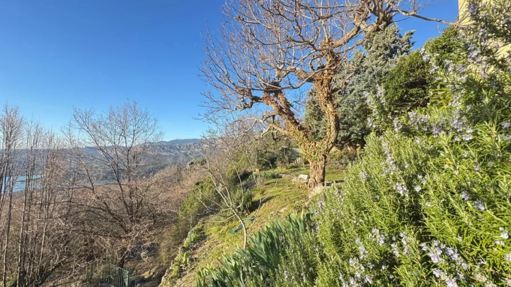 villa-overdon-jardin-vegetation-romarin-vue-lac-gorges-verdon