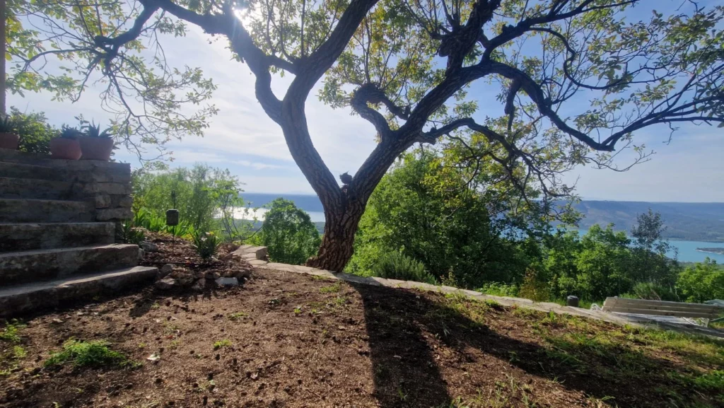 villa-overdon-jardin-vue-arbre